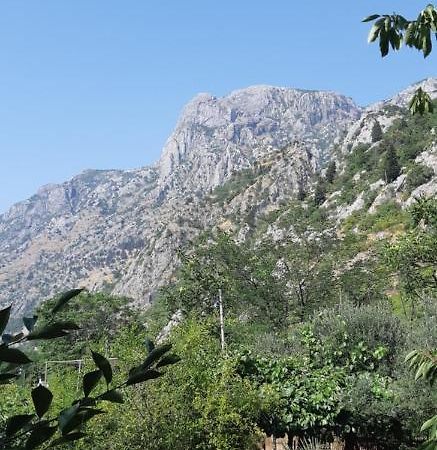 Apartment Sali Kotor Exterior foto