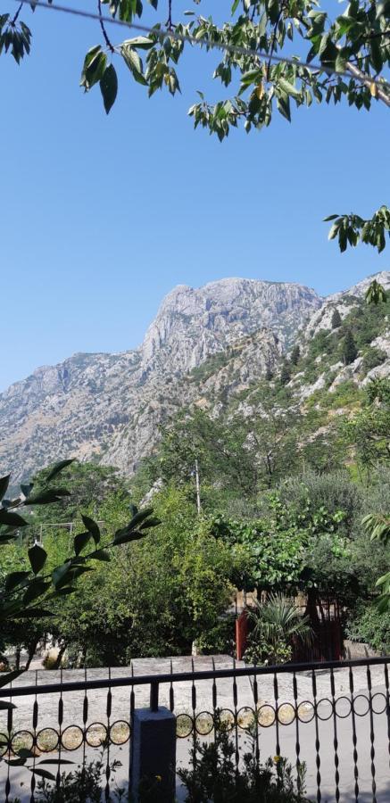 Apartment Sali Kotor Exterior foto